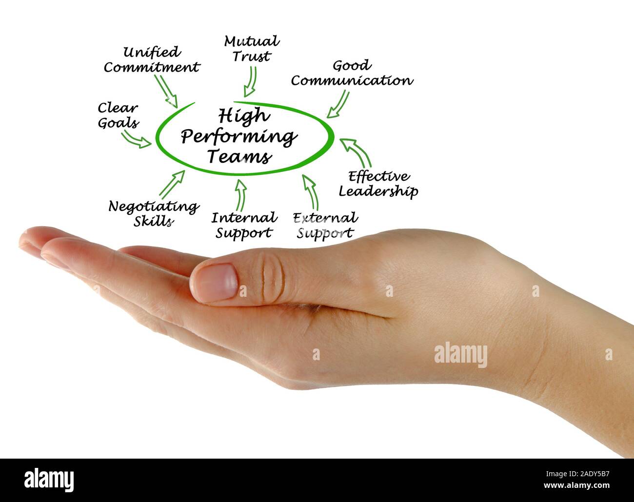 High Performing Teams Stock Photo - Alamy