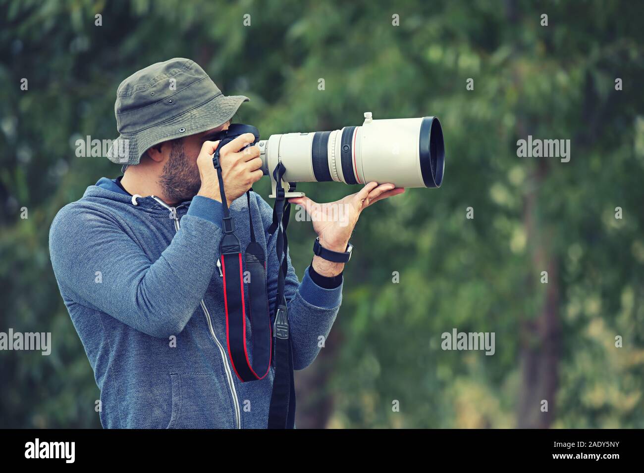 Professional nature and wildlife photographer outdoor hand holding camera  with big pro lens taking pictures Stock Photo - Alamy