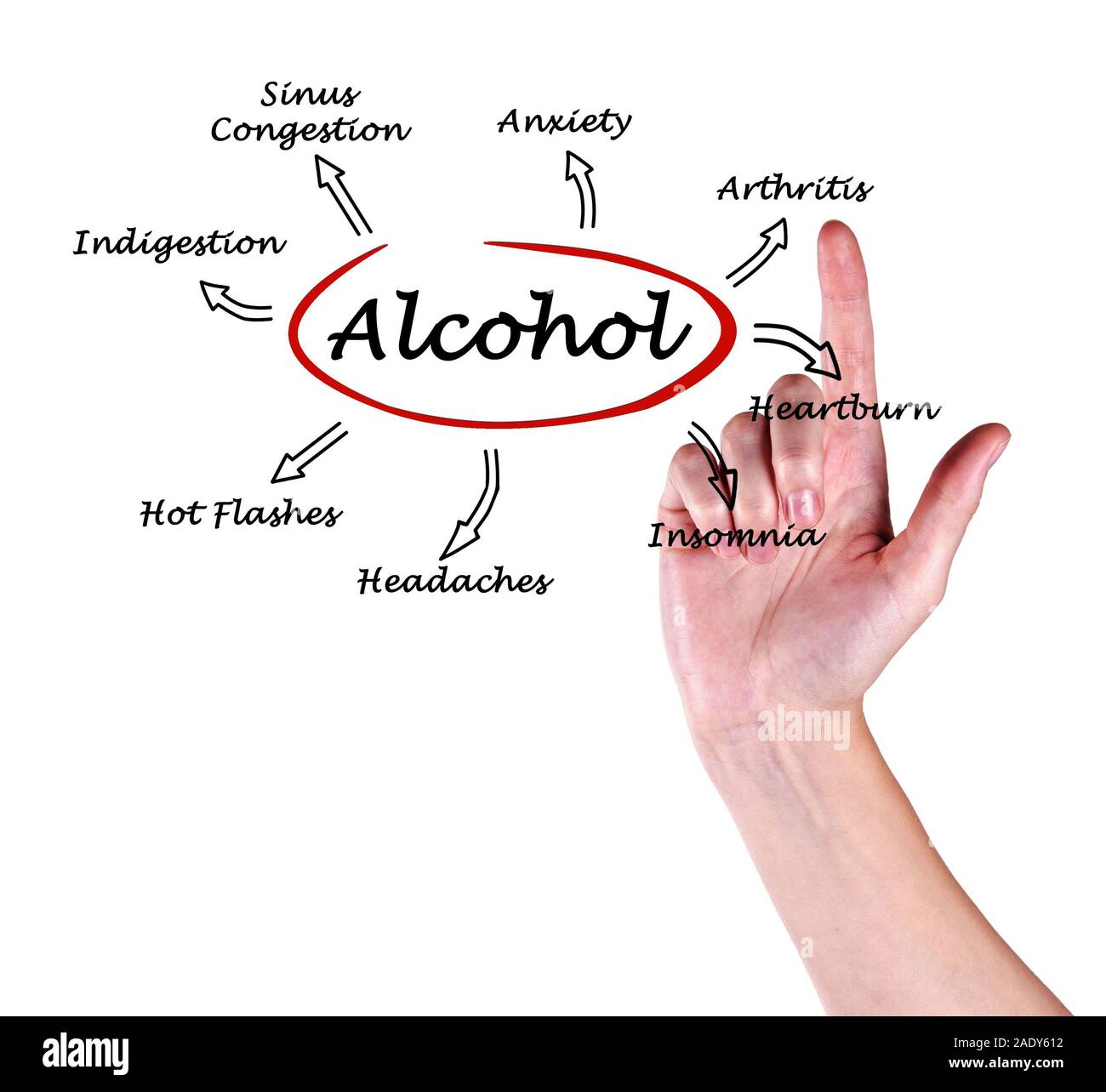 Diagram of Effects of alcohol Stock Photo