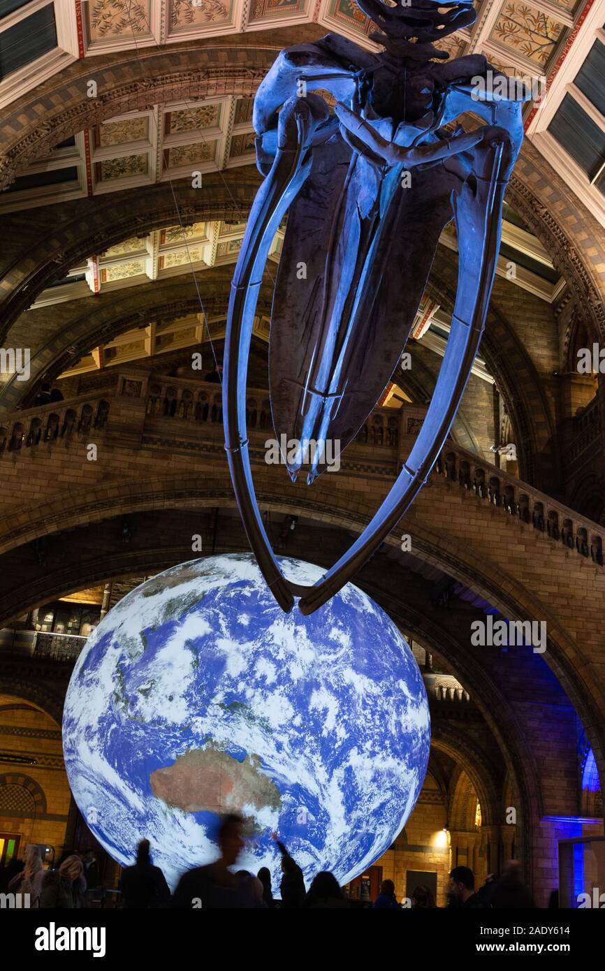 Natural History Museum, London, UK 29th November 2019. The skull of  Hope, the Blue Whale skeleton is seen facing Luke Jerram's planet Earth art installation 'Gaia' in the Hintze Hall during a Natural History Museum late night opening. The opening was themed around the new David Attenborough nature documentary 'Seven worlds, one planet' and visitors were able to meet scientists and filmmakers who worked on the series. Stock Photo