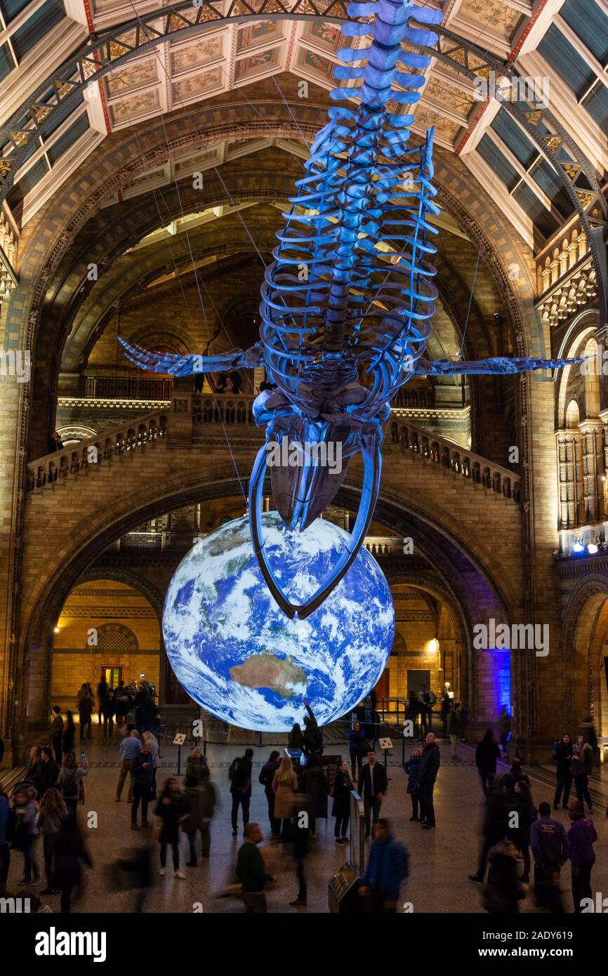 Natural History Museum, London, UK 29th November 2019. A view of the Hope, the Blue Whale skeleton and Luke Jerram's planet Earth art installation 'Gaia' which hangs in the Hintze Hall during a Natural History Museum late night opening. The opening was themed around the new David Attenborough nature documentary 'Seven worlds, one planet' and visitors were able to meet scientists and filmmakers who worked on the series. Stock Photo