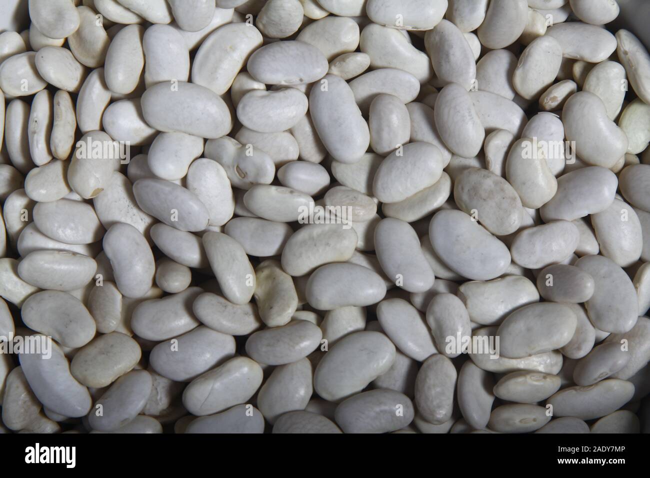 Close-up of lots of white beans, also called navy bean, haricot or pearl haricot in a grocery store Stock Photo