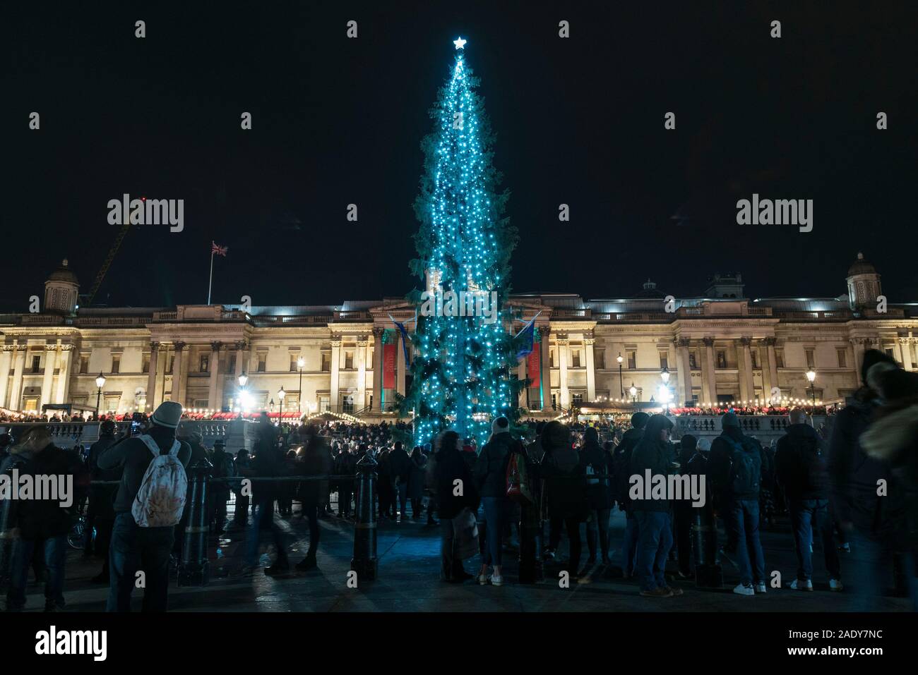 London, UK. 5 December 2019. The annual lighting of the Christmas Tree  takes place in Trafalgar Square. The tree, a Norwegian spruce, is donated  by the City of Oslo to the people