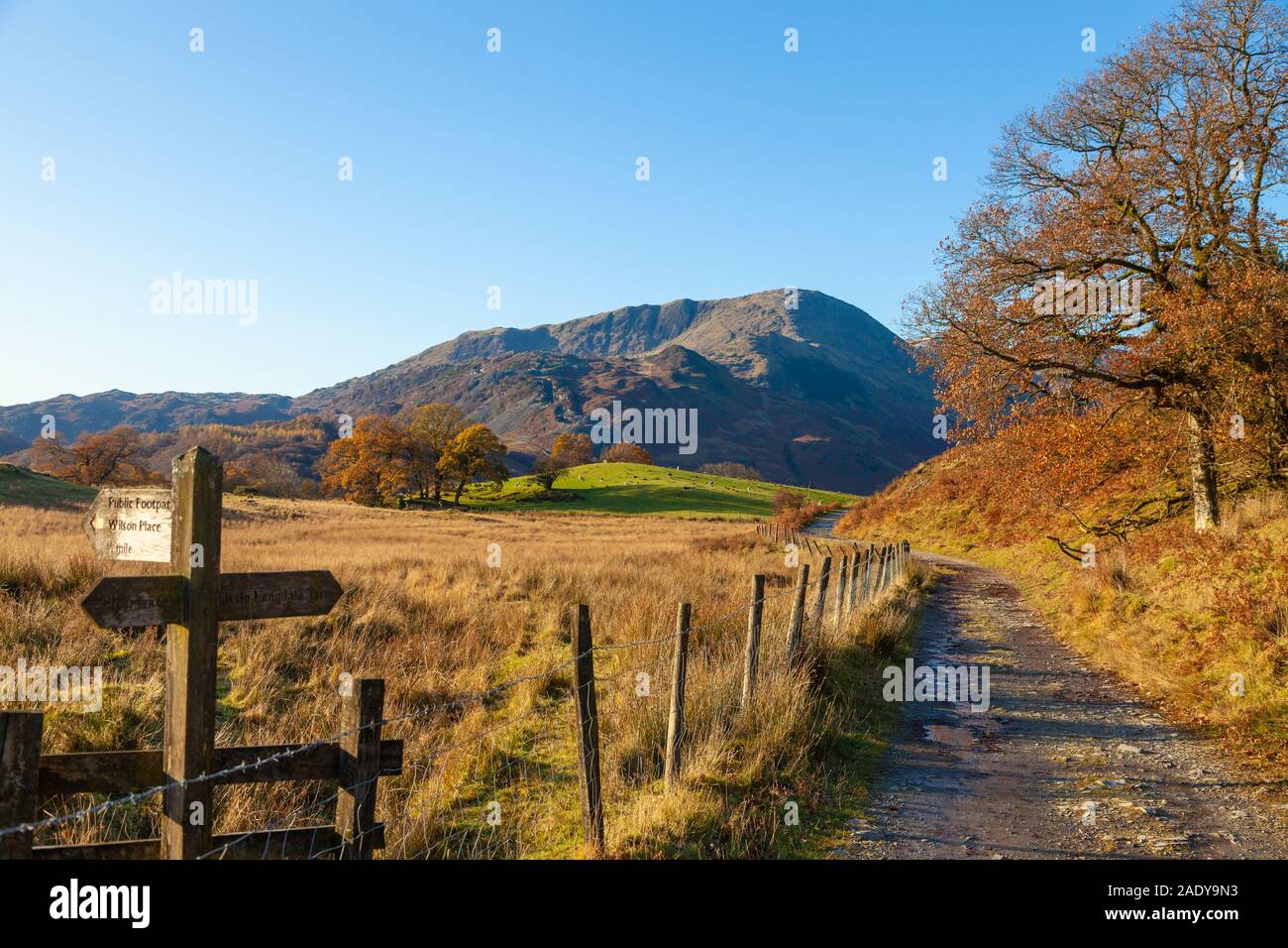 Looking over to Wetherlam Hill from a signpost from near Elterwater, Lake District, Cumbria, England Stock Photo