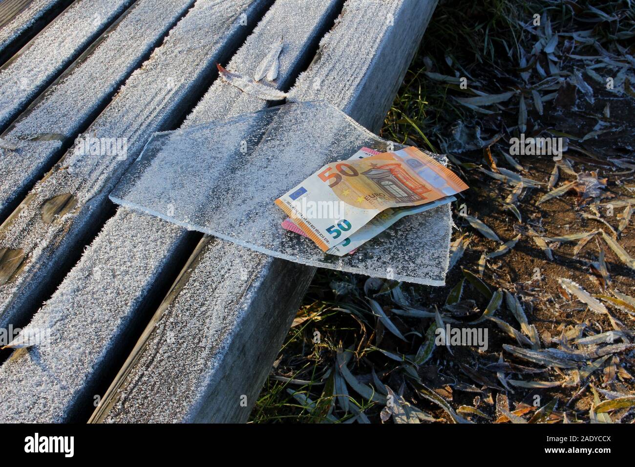 Money laying on a ice floe which is laying on the edge of the bench being melted by the sun, selected focus on the money Stock Photo