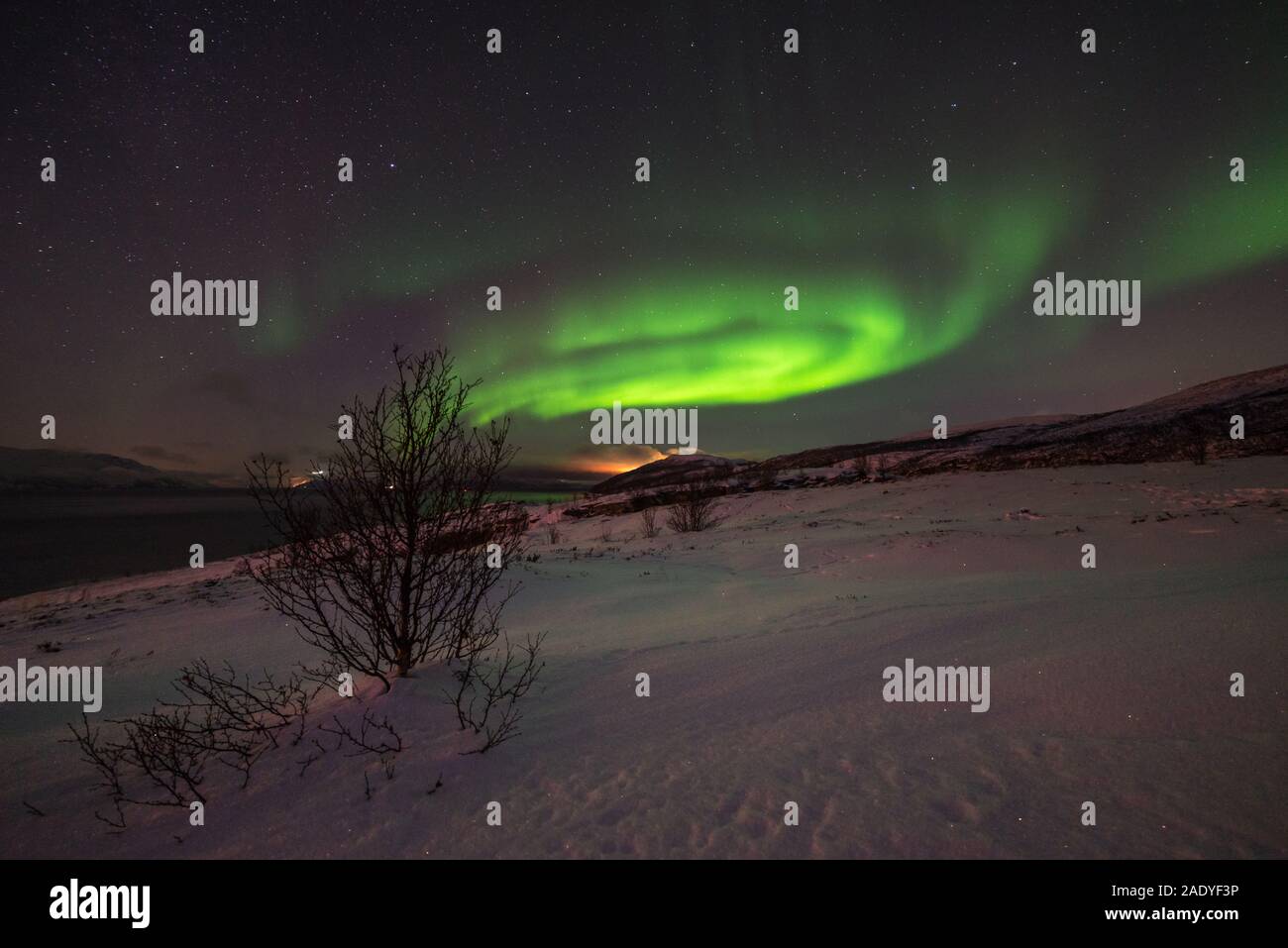 Northern Lights above snow covered landscape, and northern part of Altafjord can be seen in background. Stock Photo