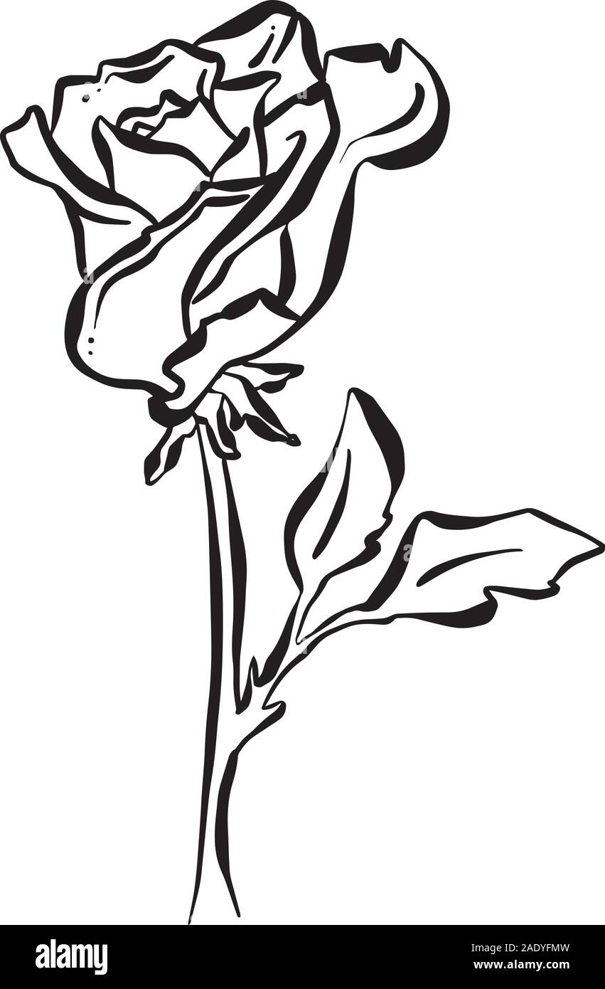Abstract Cartoon Rose Illustration Vector Flower Icon for Logo Stock ...