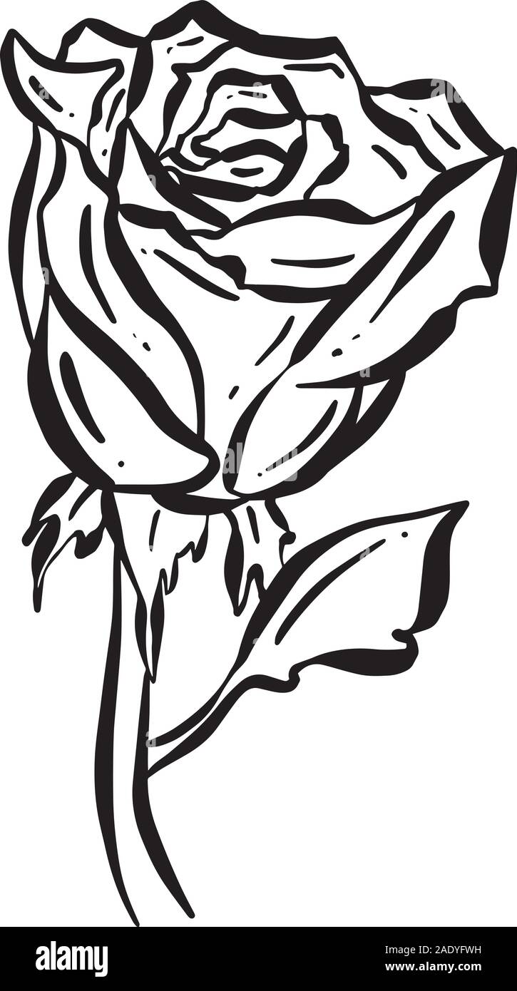 Abstract Cartoon Rose Illustration Vector Flower Icon for Logo Stock ...