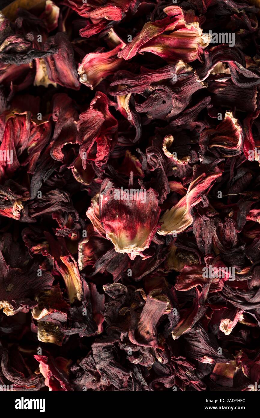 Dry Organic Jamaica Flower Hibiscus for Tea Stock Photo