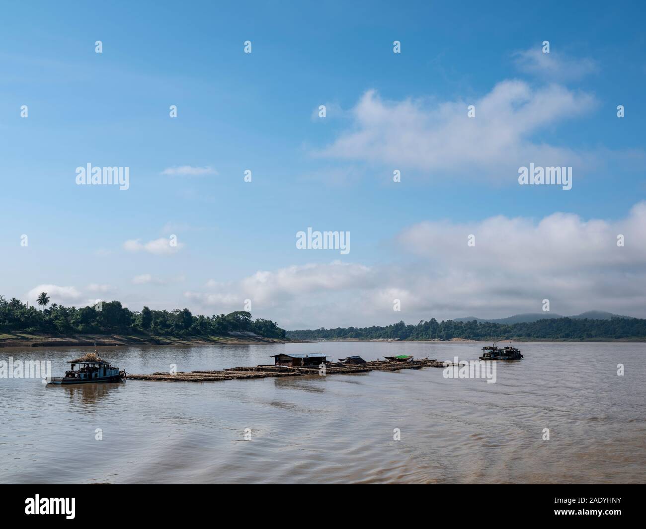 Rafts made of logging timber (with temporary worker housing on the logs) float down the Chindwin River to lumber yards in southern Myanmar (Burma) Stock Photo