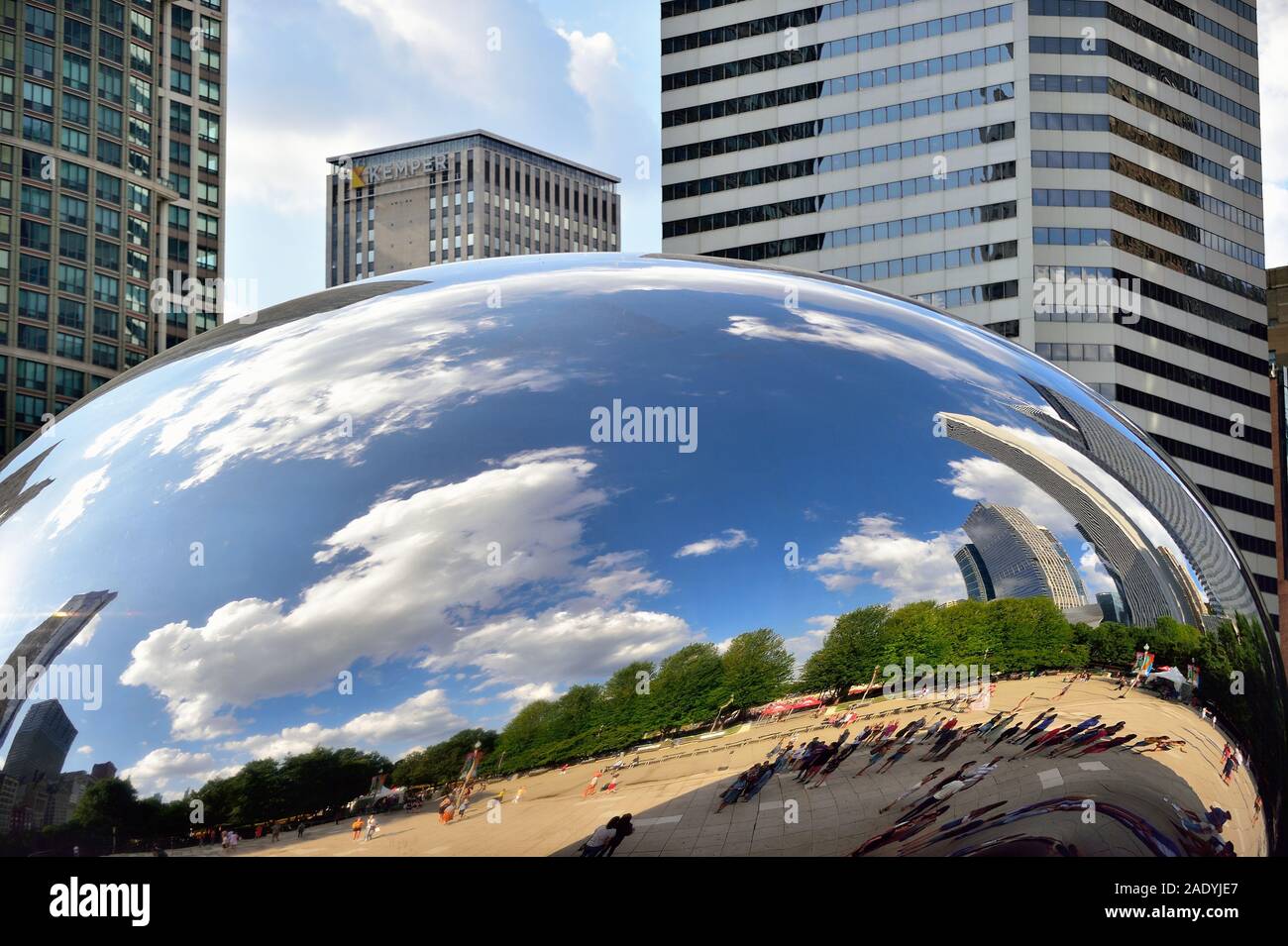 Bean kidney hires stock photography and images Alamy