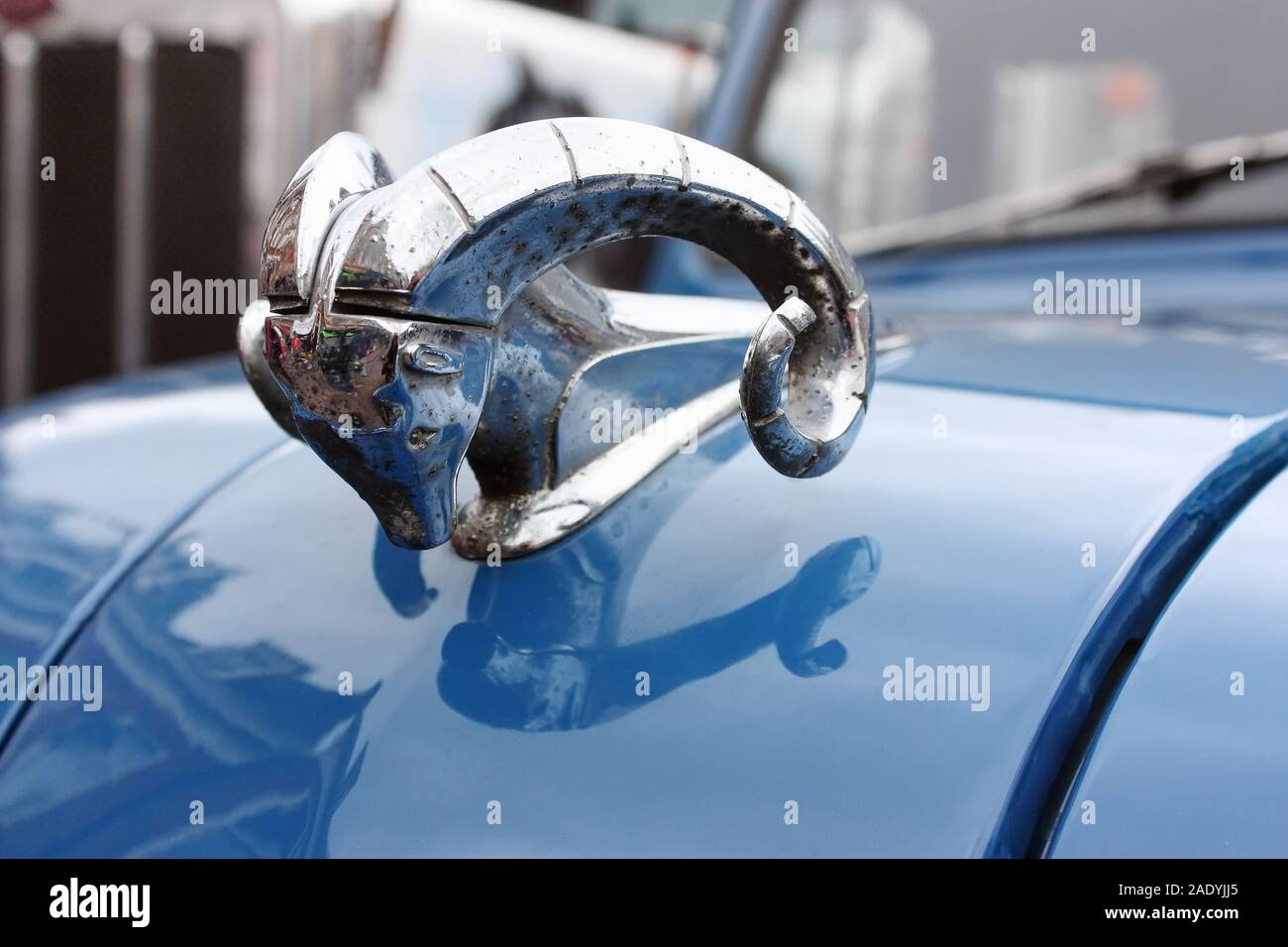 A blue oldtimer Dodge, with the stylized chrome ram hood ornament shown in detail. Stock Photo