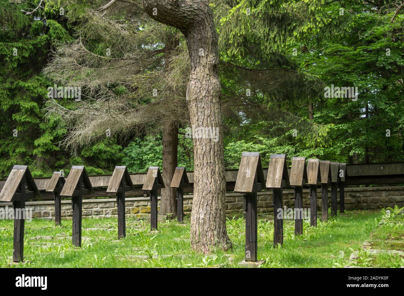 Austrian War Cemetery No. 60 at the Małastowska Pass, by Dusan Jurkovic, Poland Stock Photo