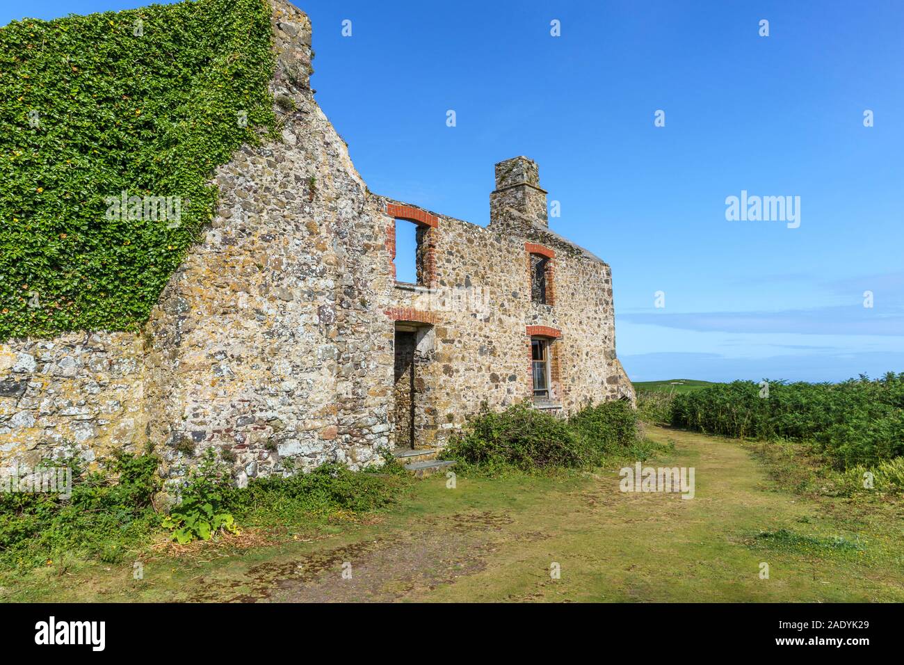 The ruins of the Old Farm used as hostel accomodation on Skomer Island on the Pembrokeshire coast, west Wales Stock Photo