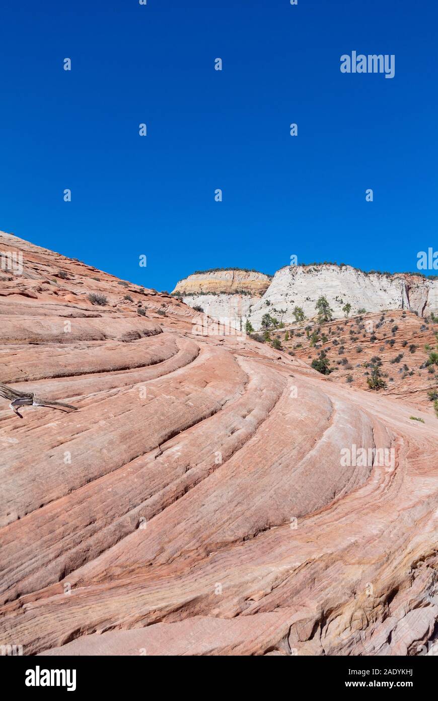 ZION, Utah/ united states of America-October 3rd 2019: landscape with erosion along ZION MOUNT CAMEL HIGHWAY Stock Photo