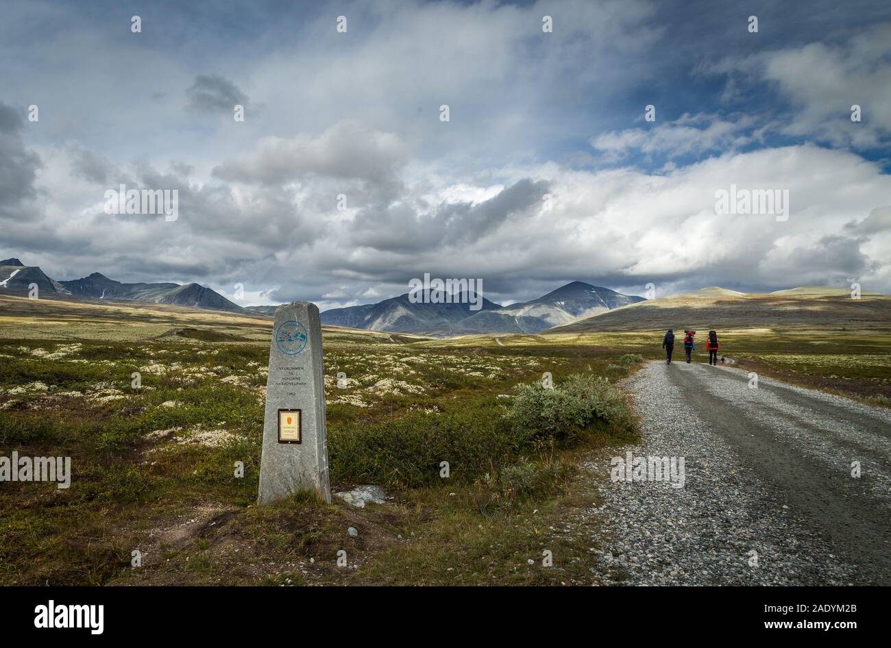 Hikres on the road in Rondane National Park in middle Norway, autumn time. Stock Photo