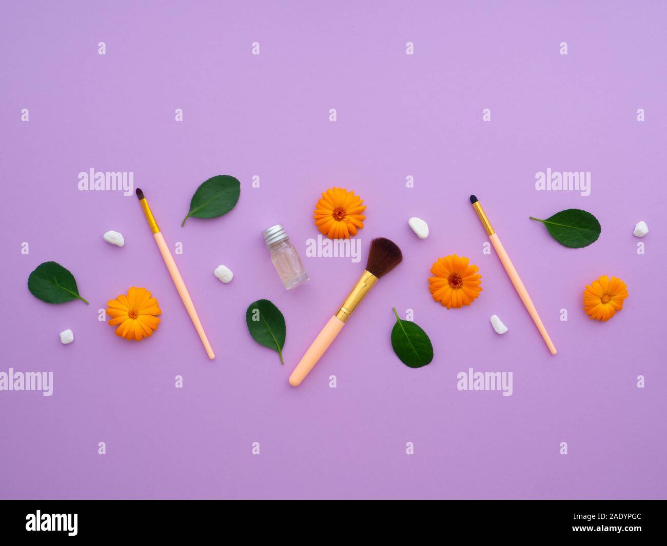 Makeup brushes, everyday make-up tools. Closeup cosmetic essentials Shampoo, green leaves, orange flowers, silver balls, on a purple background. Stock Photo