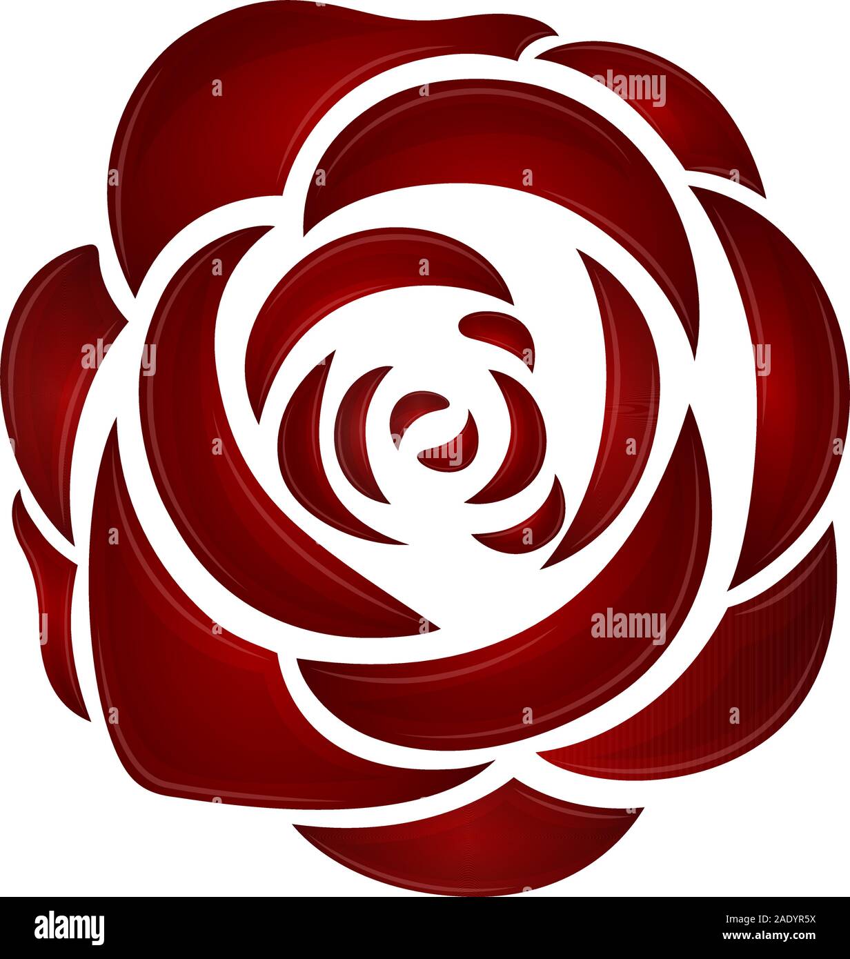 Isolated red rose image . Flower decoration - Vector illustration Stock ...