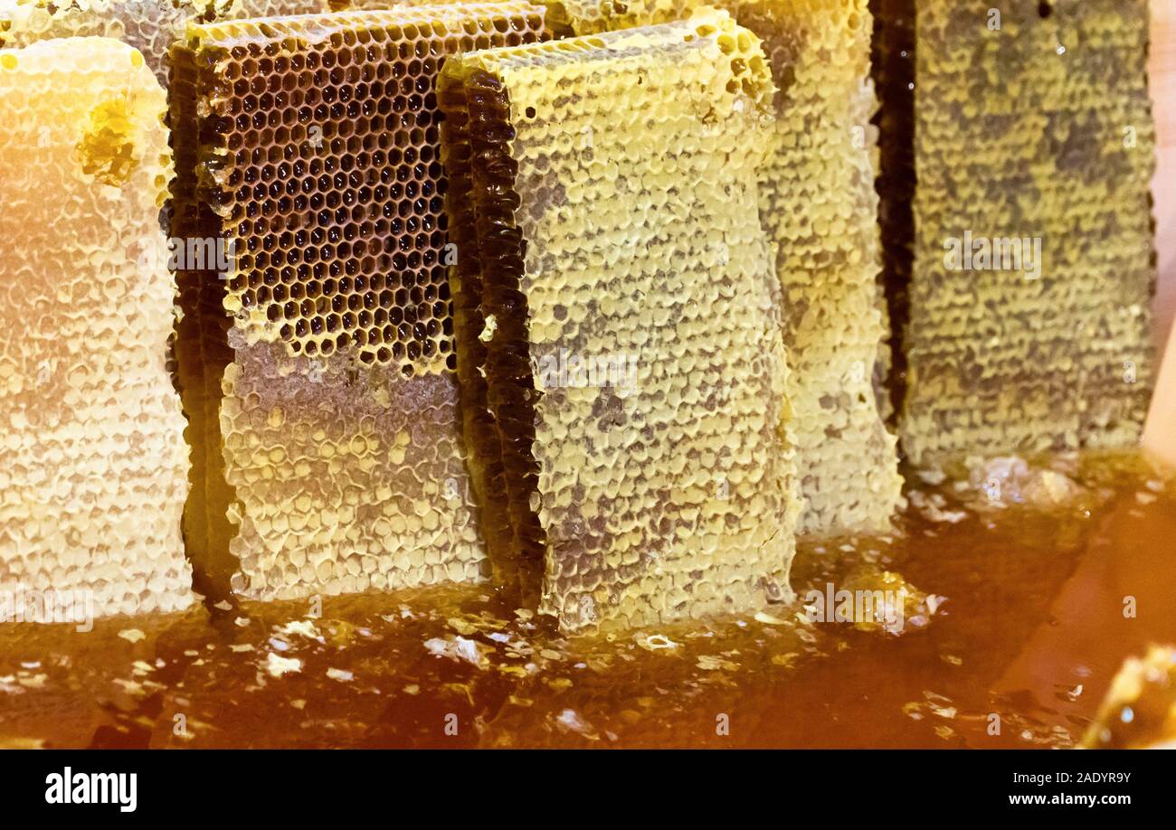 Honey bucket hires stock photography and images Alamy