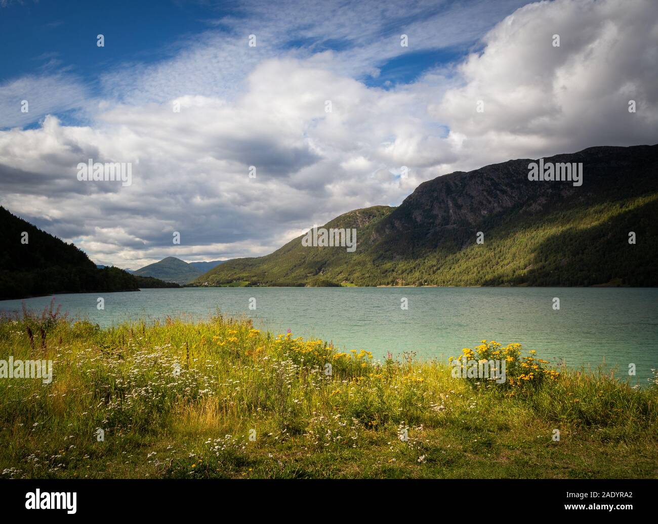 Amazing colours of Vagavatnet lake, glacial water from glacires in Jotunheimne National Park, middle Norway. Beautiful summer time. Stock Photo