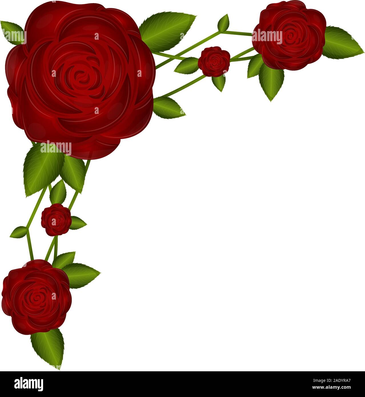 red roses border clipart