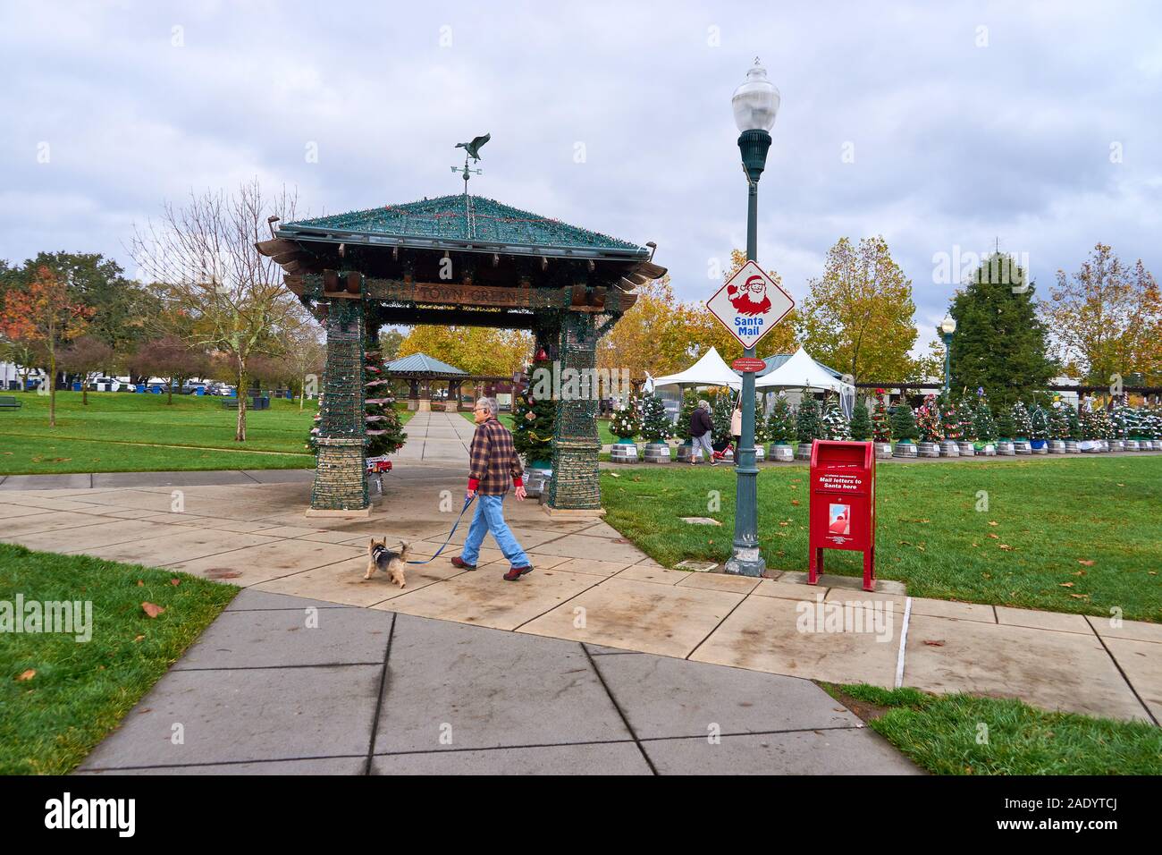 Decorated Christmas trees at Windsor's Town Green, on overcast day in