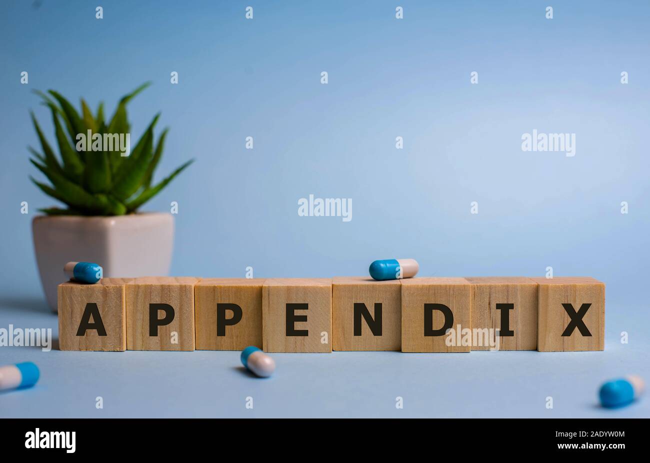 APPENDIX word made with building blocks, medical concept Stock Photo