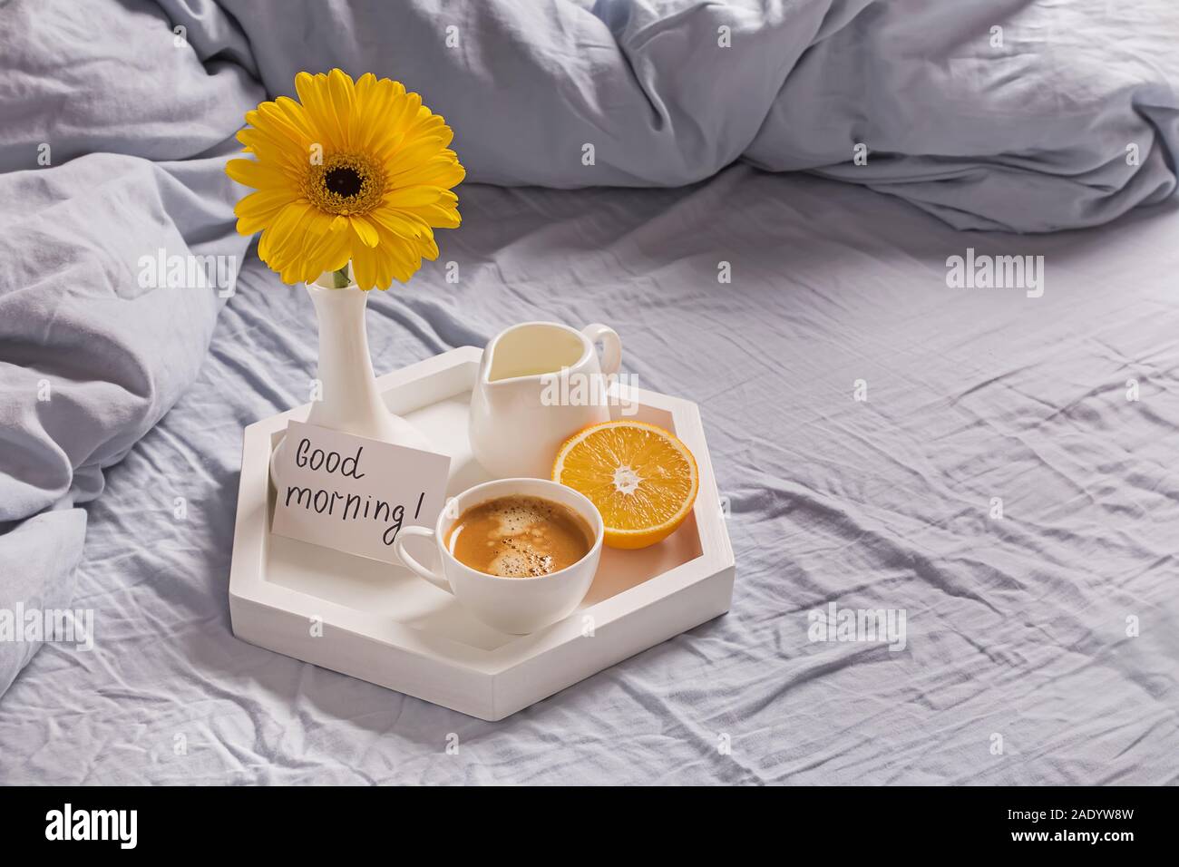 Coffee Flower Good Morning Stock Photos Coffee Flower Good