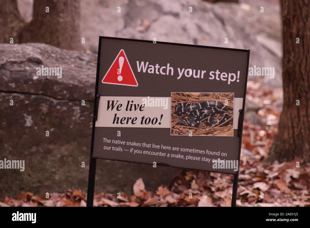 Watch your step! We live here too! Stock Photo