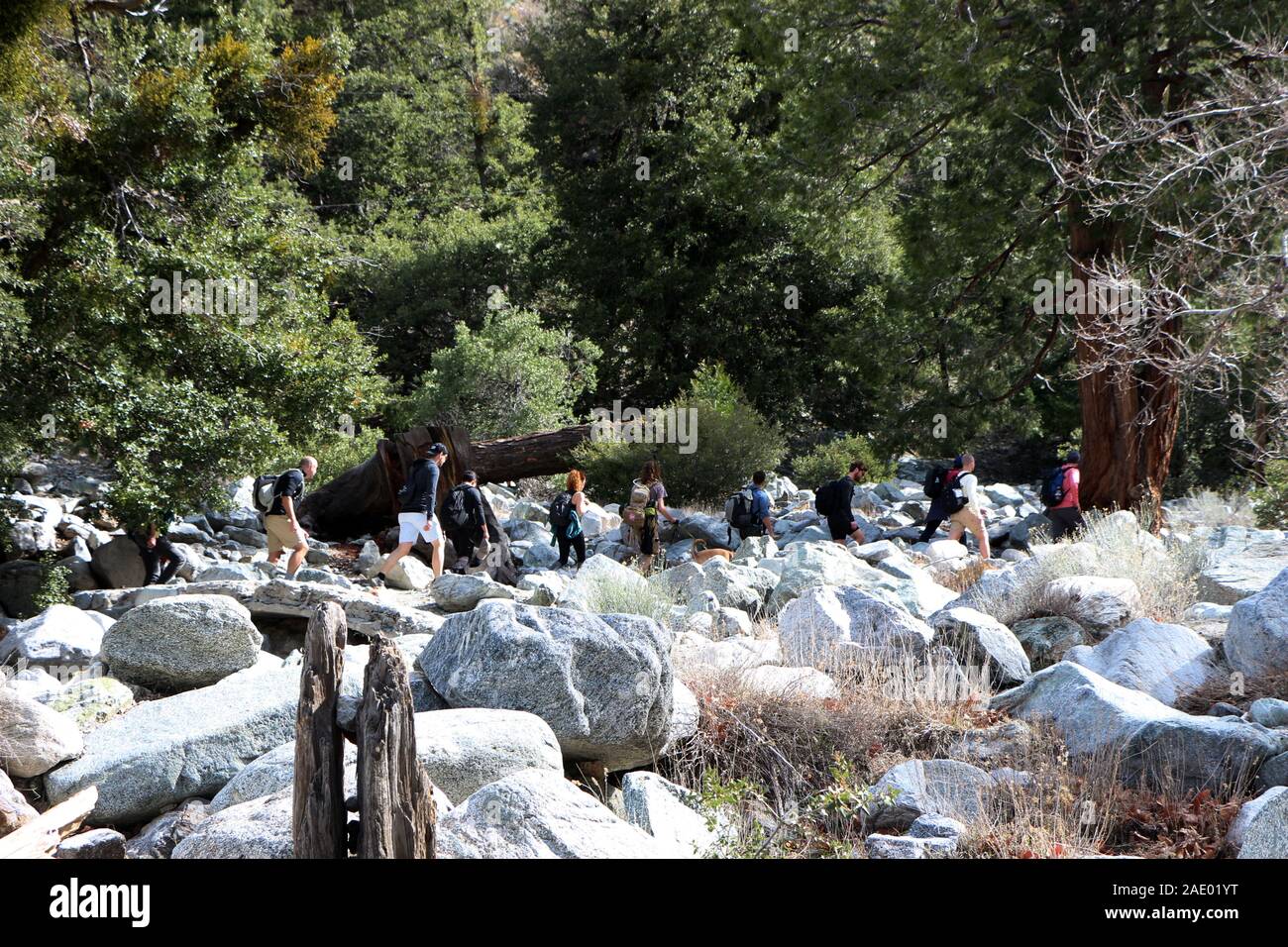 The procession of hikers in the Mountain San Antonio, Los Angeles, California Stock Photo