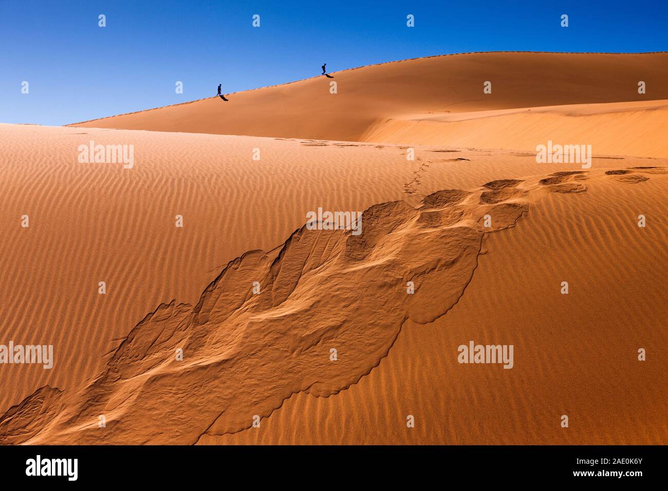 Climbing dune, Deadvlei, Namib Desert, Namib-Naukluft National Park, Namibia, Southern Africa, Africa Stock Photo