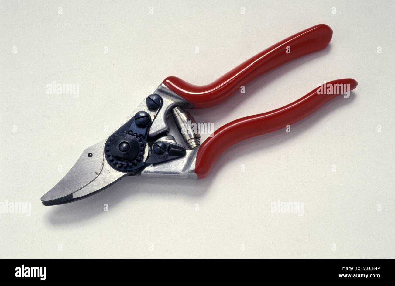 STUDIO IMAGE OF GARDEN SECATEURS ON WHITE BACKGROUND. Stock Photo