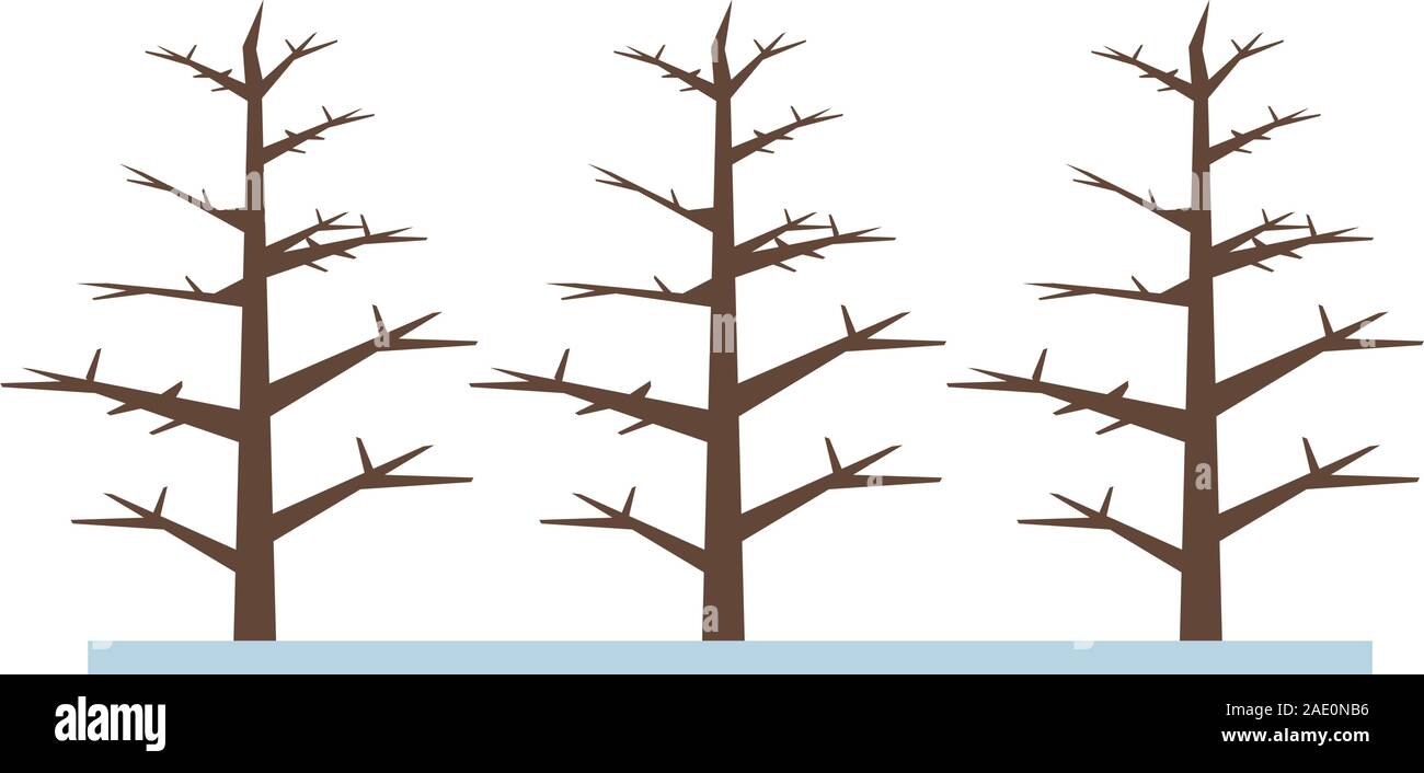 dry pines trees plants forest scene Stock Vector Image & Art - Alamy
