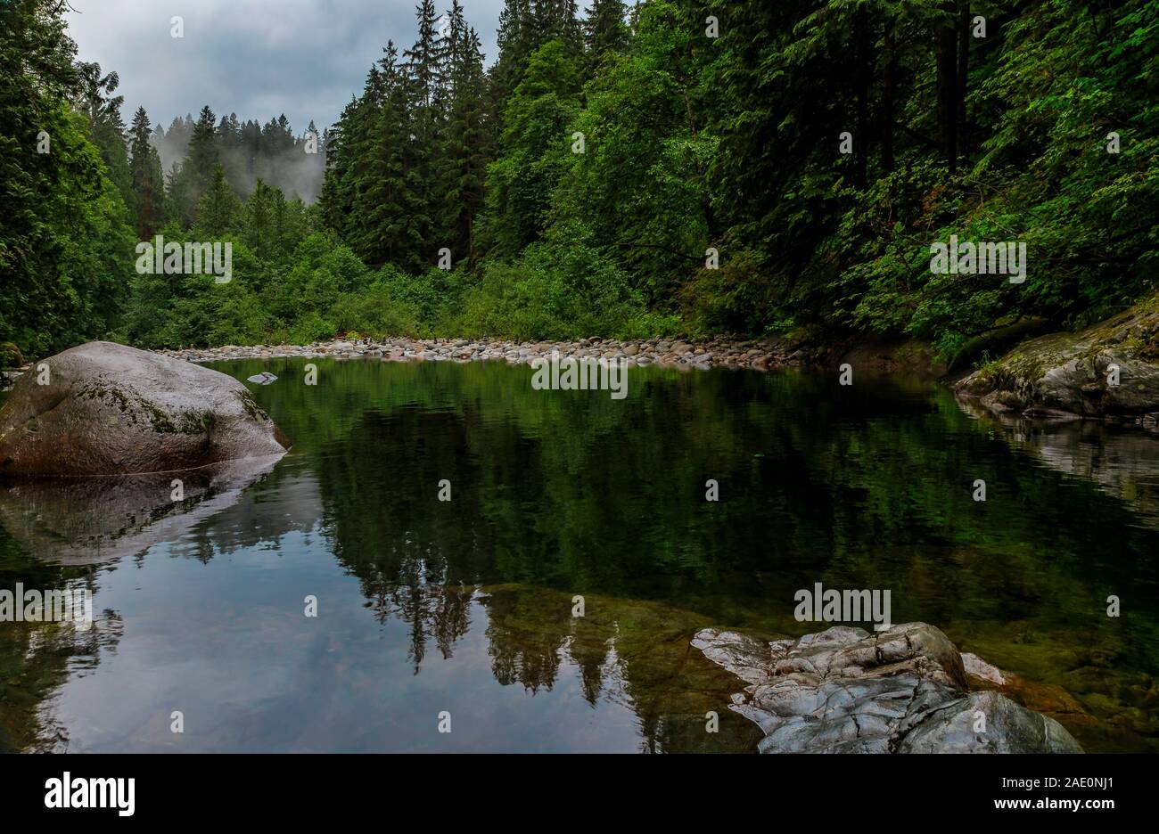 Pine Trees And Cloudy Sky Reflecting In The Crystal Clear Water Of