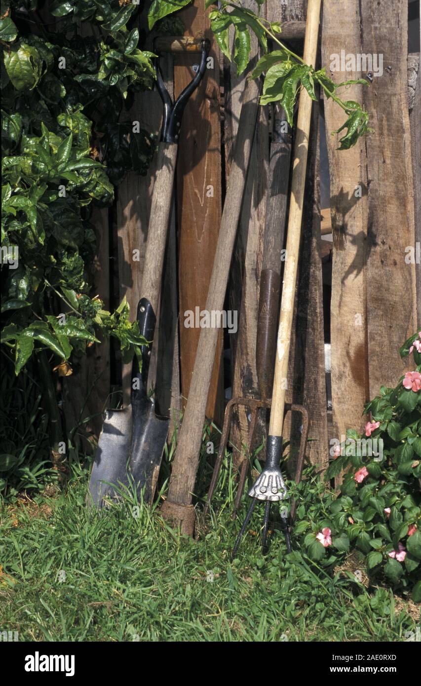 Assorted gardening tools (fork, spade, rake) leaning up against timber fence. Stock Photo