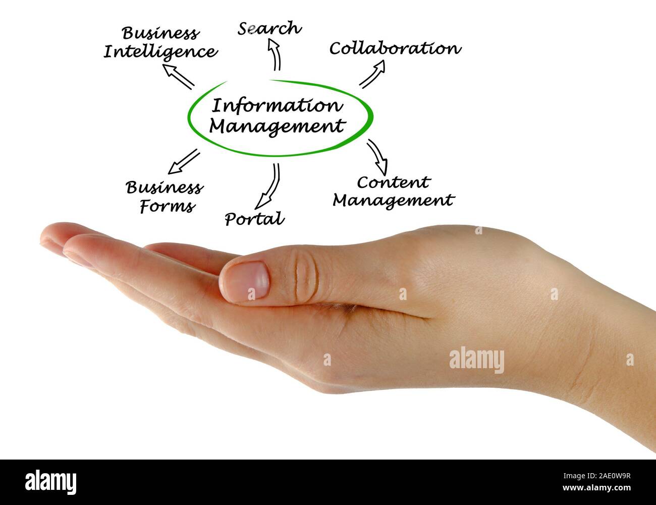 Information management Cut Out Stock Images & Pictures - Alamy