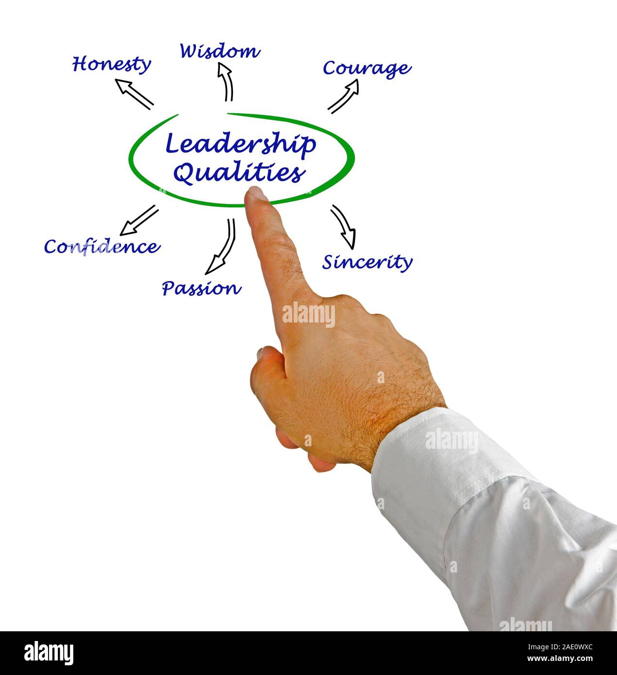 Diagram of leadership qualities Stock Photo Alamy