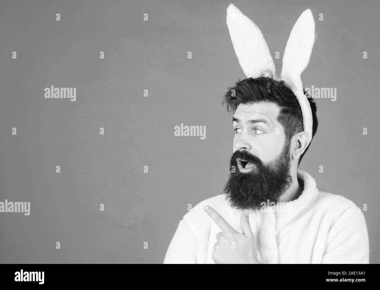 How about that. Bearded man in Easter rabbit costume pointing finger at