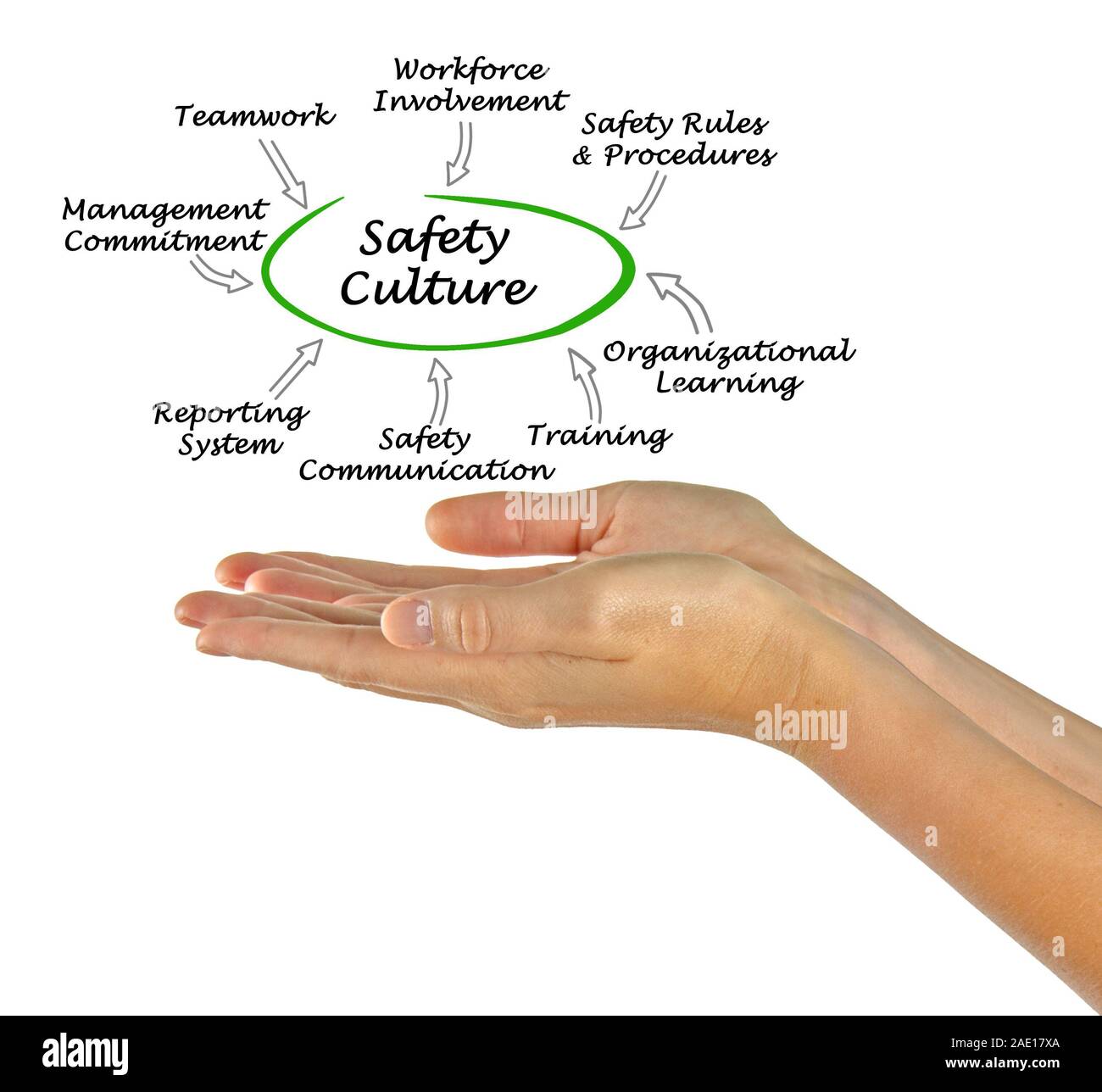 Diagram of Safety Culture Stock Photo Alamy