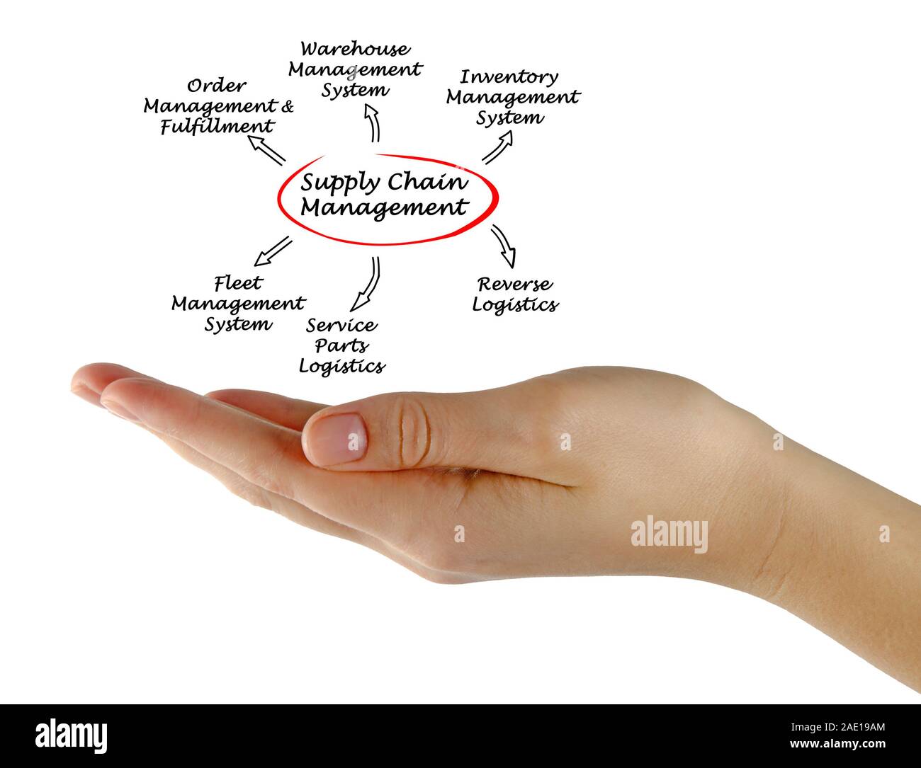 supply-chain-management-stock-photo-alamy