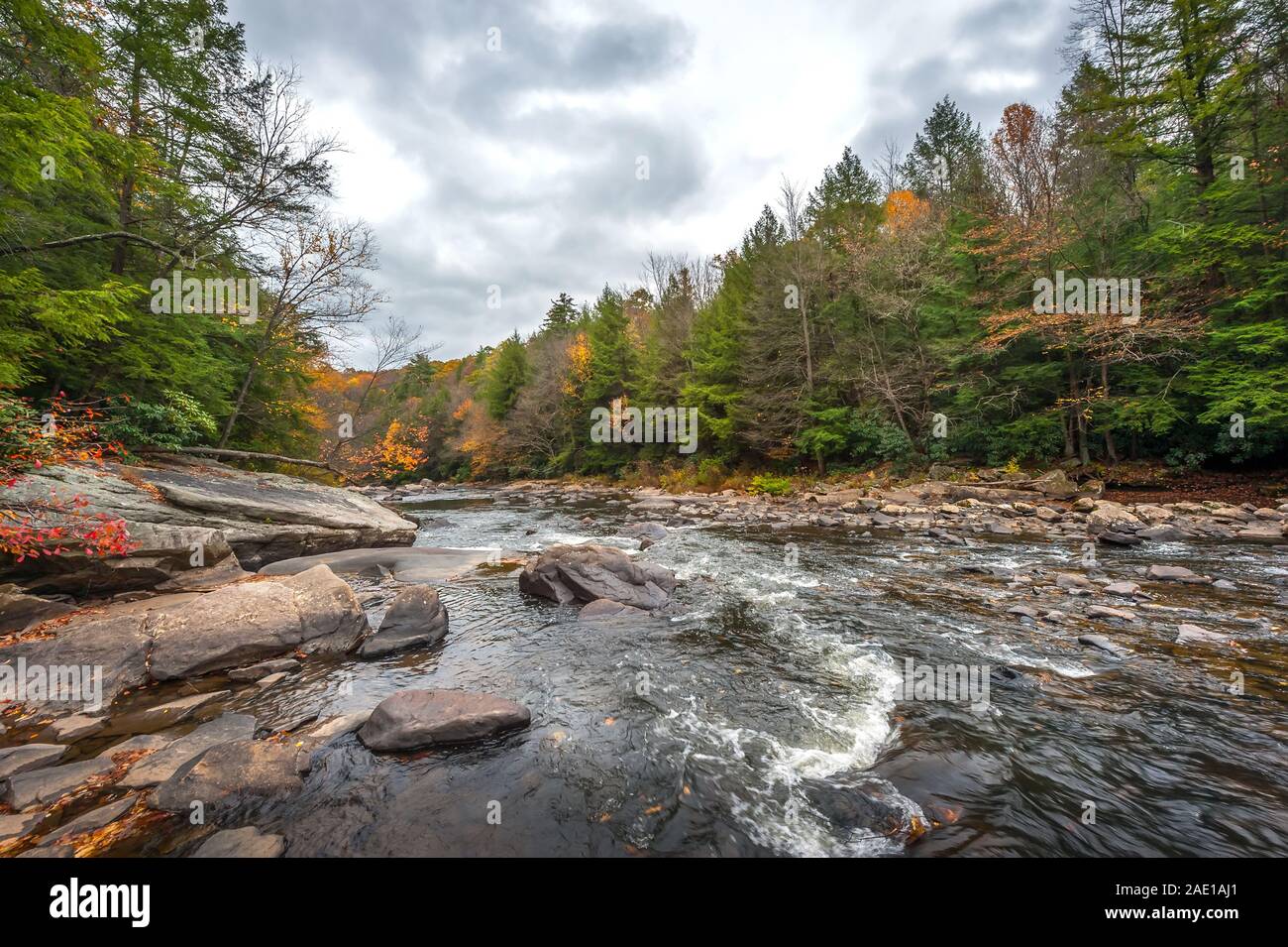 Autumn colors abound along a wild river with rapids in the Appalachian mountains Stock Photo