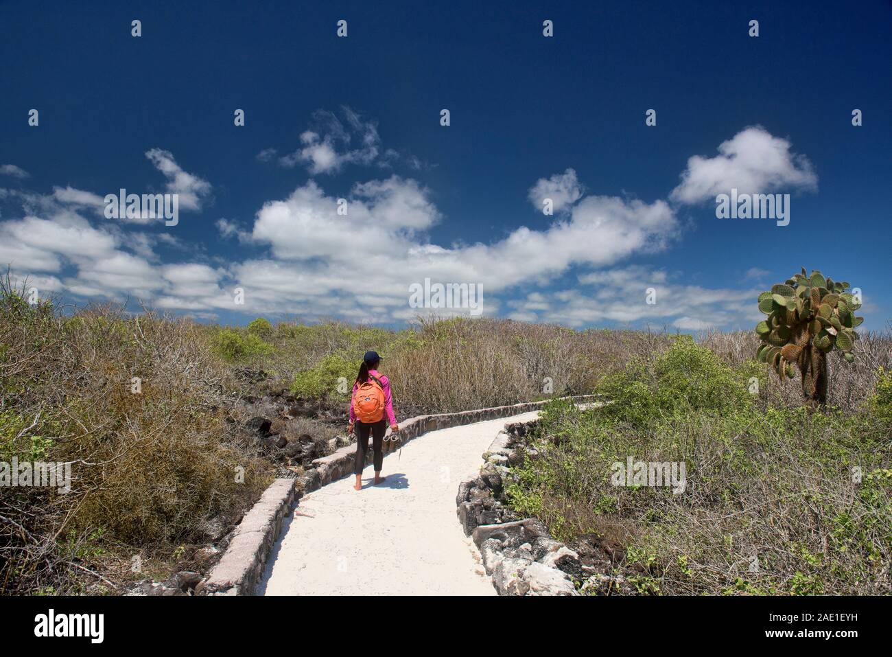 Hiking trail to Tortuga Bay, Isla Santa Cruz, Galapagos Islands, Ecuador Stock Photo