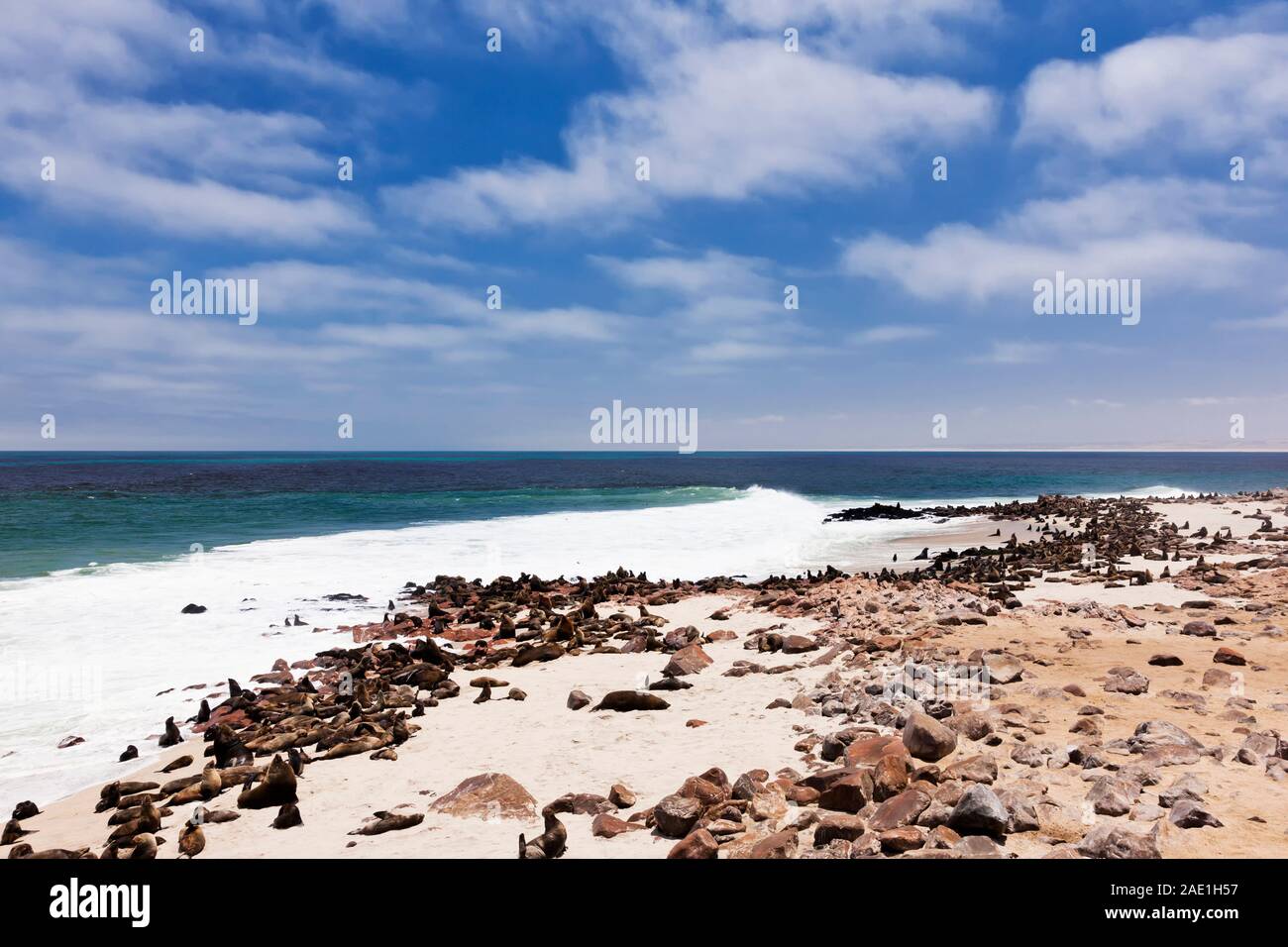 Colony of Seals, Cape Cross Seal Reserve, Skeleton Coast, Atlantic Ocean, Namibia, Southern Africa, Africa Stock Photo