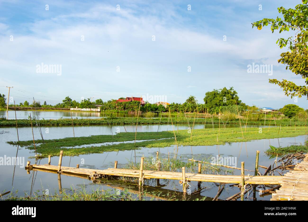 Bamboo bridge over the canal Stock Photo Alamy