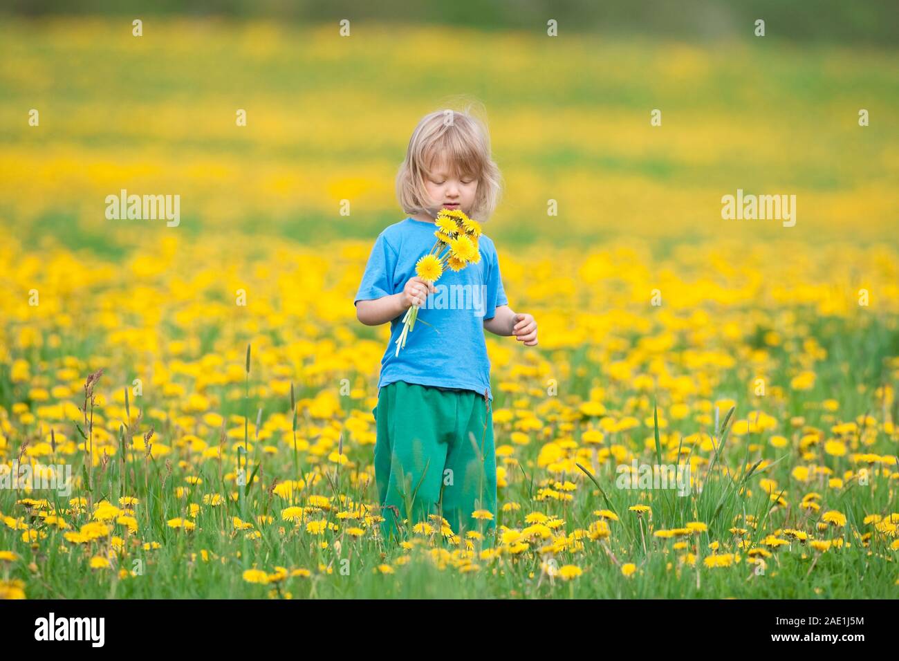 boy with long hair standing in a dandelion field Stock Photo