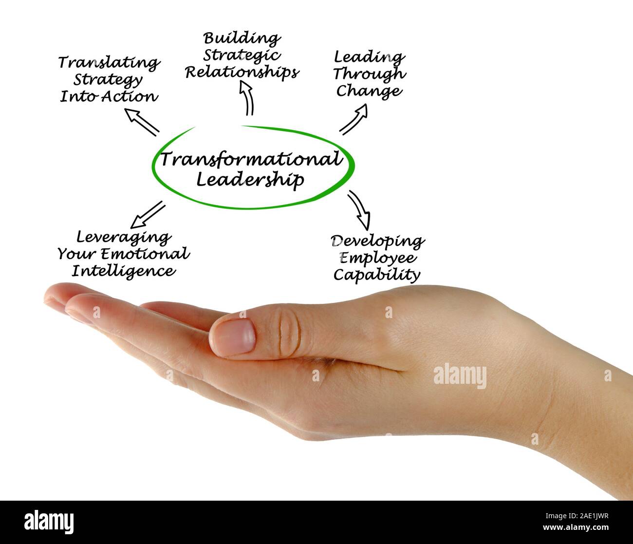 Diagram of Transformational Leadership Stock Photo