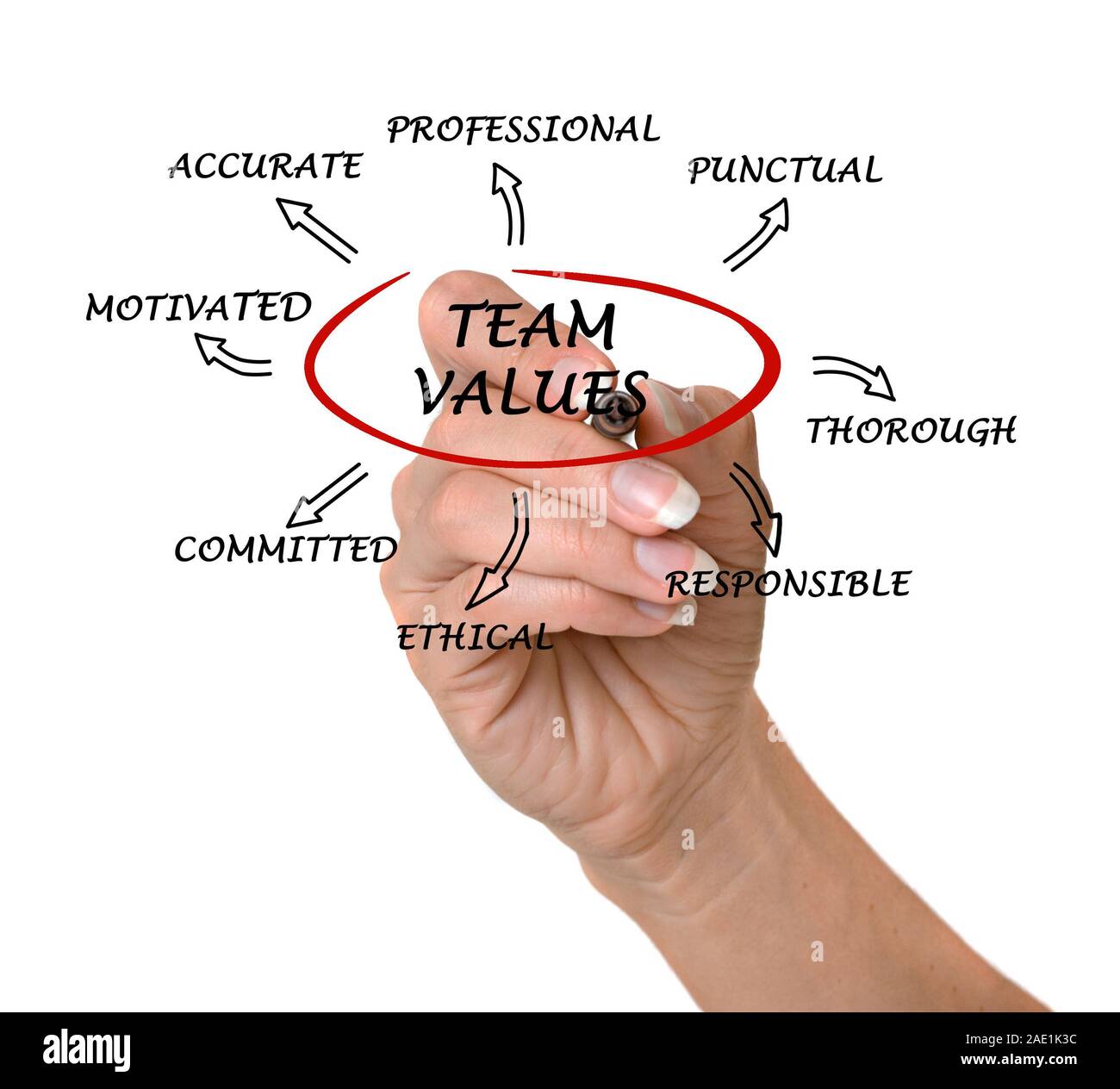 team values and norms Stock Photo - Alamy