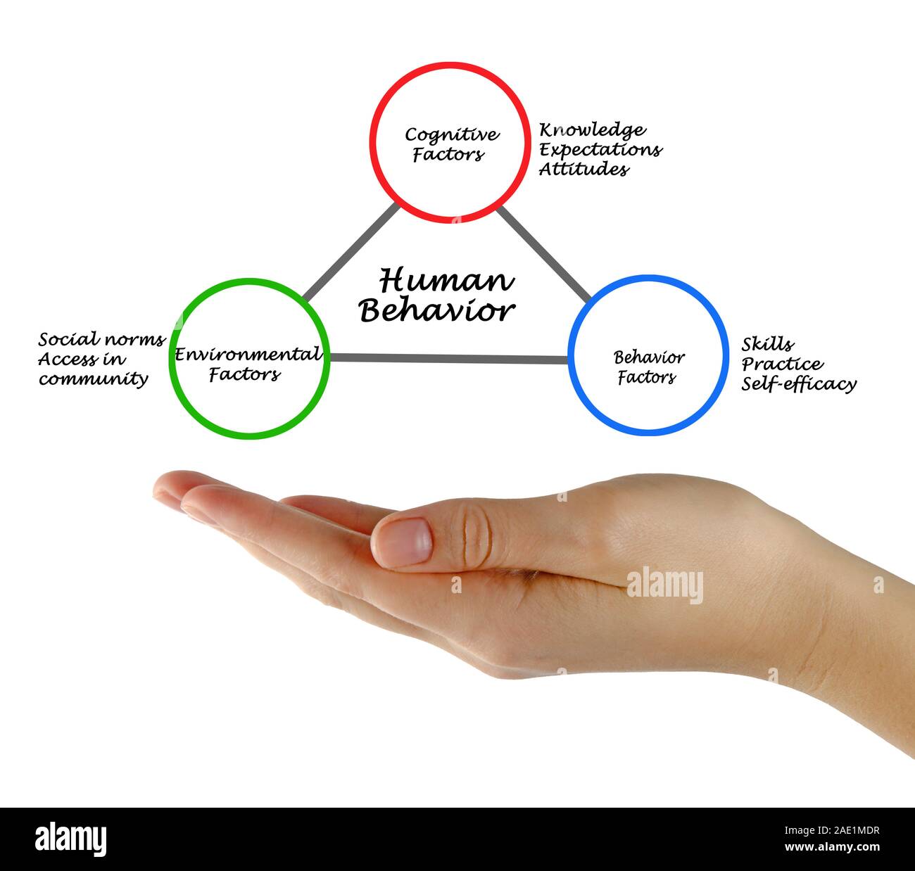 Determinants of Human Behavior Stock Photo