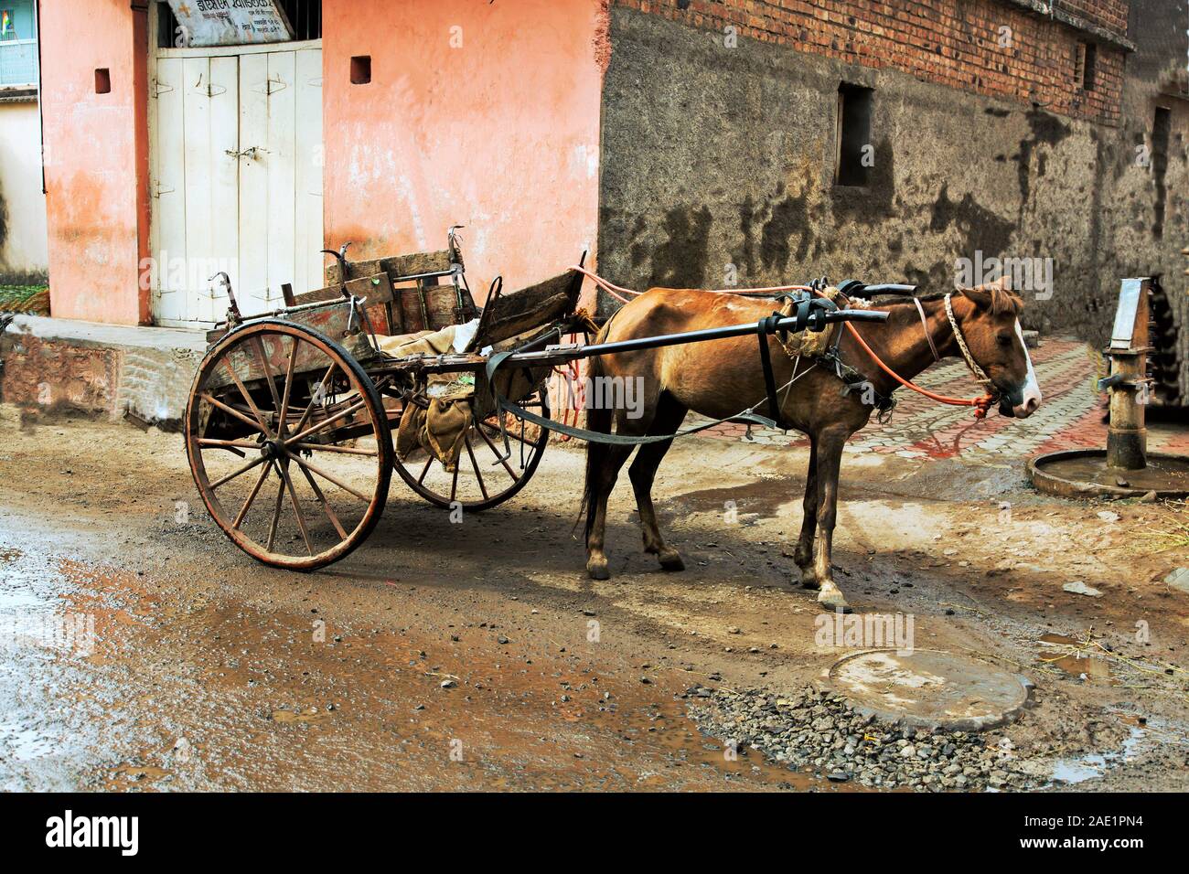 Horse cart, Miraj, Maharashtra, India, Asia Stock Photo Alamy