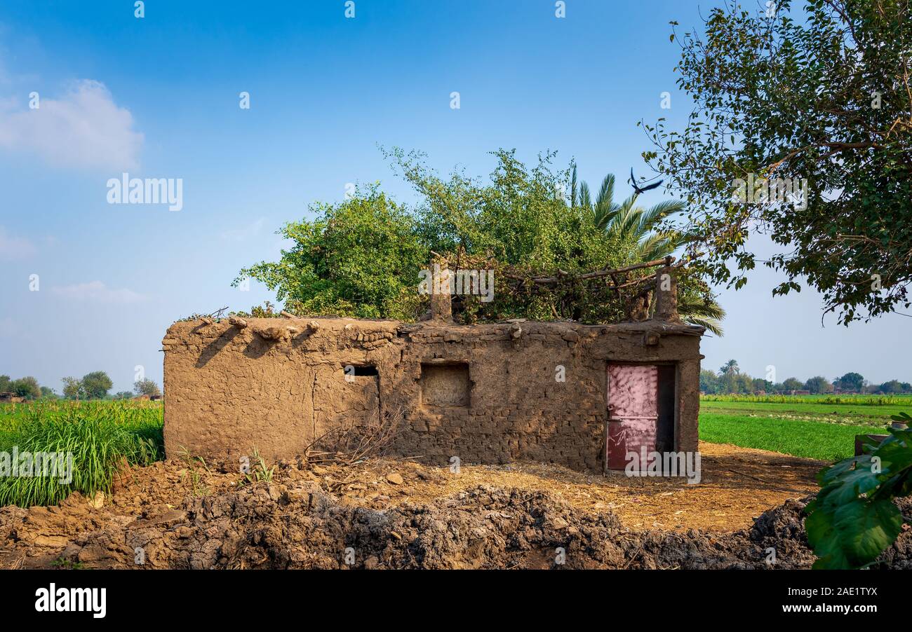 Exotic clay rocked house without windows with tropical green plants on roof at village on sunny